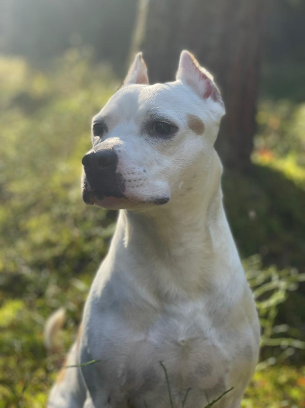 3F1858FB-0E40-4EA2-AB0F-09A0C06EF12D