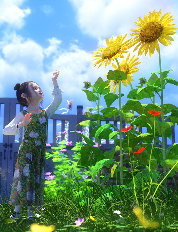 Sunflower Plants for Daz Studio and Iray 