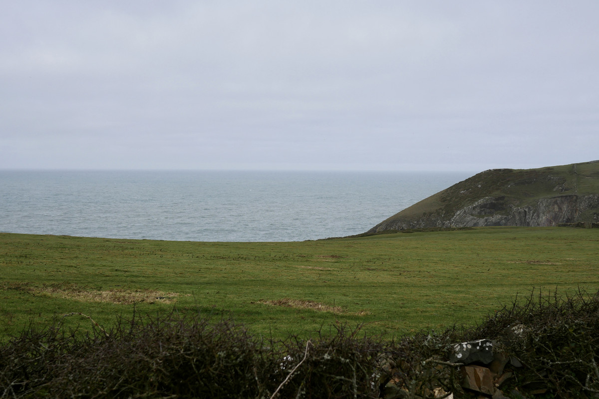 872779E8-474B-4185-88DB-DE2848C2D747