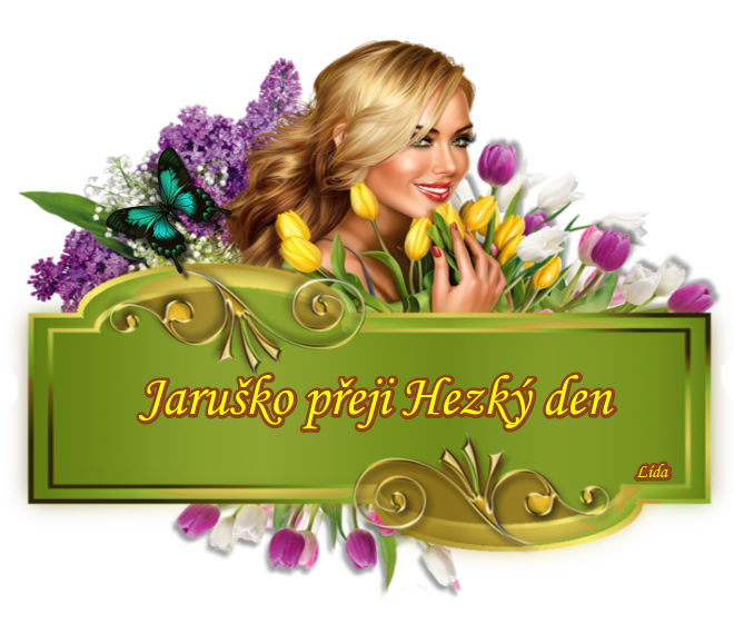Jarka-009.png