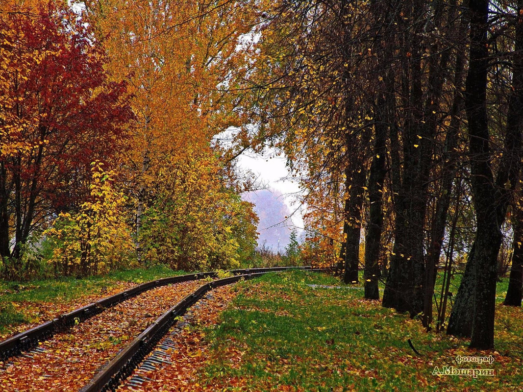 nWuotfK9irNxg4DcGYp6miX3SWeqdCMeYsVtoYw0X2plItA05SwlxKCfl3WBN335ltBukiwYnBMseayDTP6gTLpA