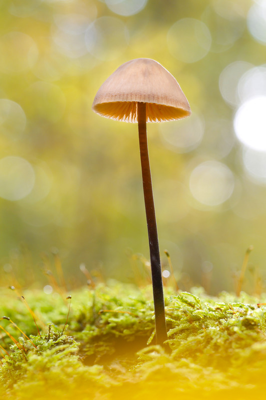 2025 10 26 10 29 40 A R5 S3 2