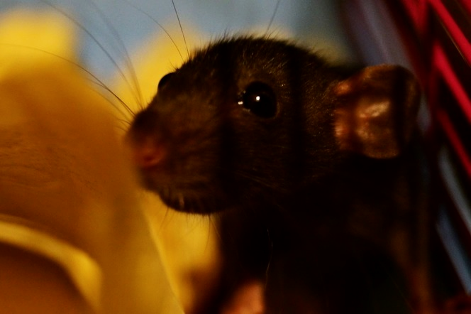 DSC07074_20-12-55_09-34-51