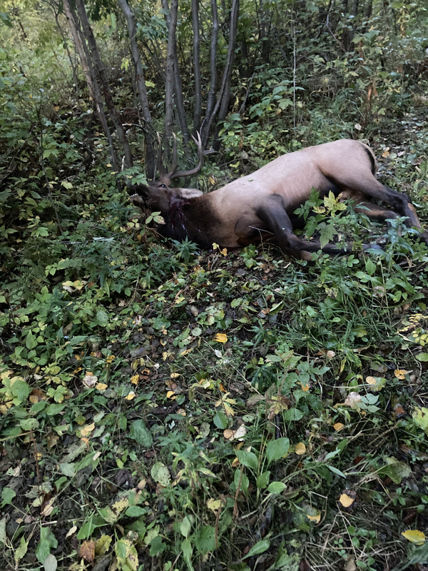 9DDD4765-E3BE-4C80-8D1E-BD97D1E7291A