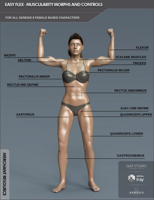 Easy Flex - Muscularity Morphs for Genesis 8 Female and Merchant Resource