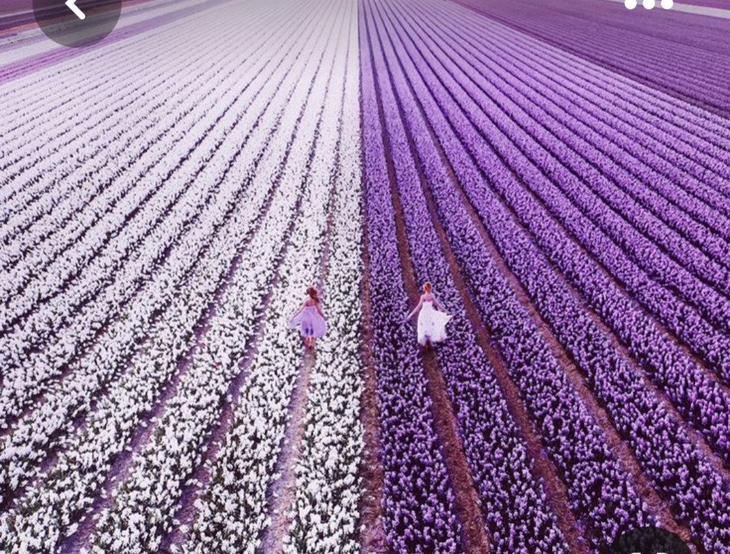 Screenshot_20230323_000620_Pinterest