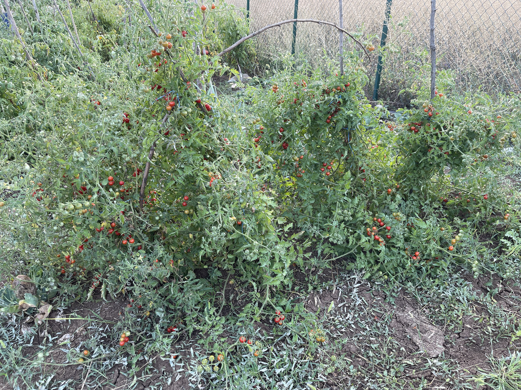 76B4931C-2863-4E75-92E9-5DF9B6750C0B