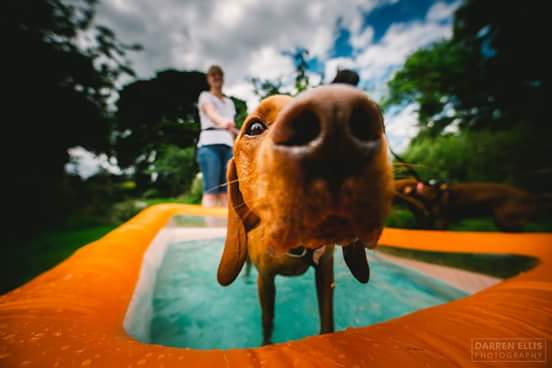 FB_IMG_1499782774329