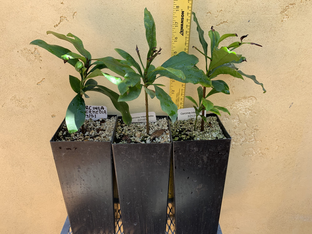 1F6645D3-755C-4839-8A2D-820D657ABFBB