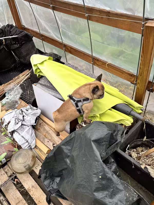 0F754383-ABB6-4355-84A0-B507F78D68C7