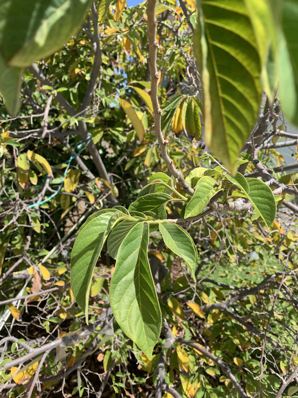 A4F3E065-0590-4C46-97F3-9D66C6C34EB3