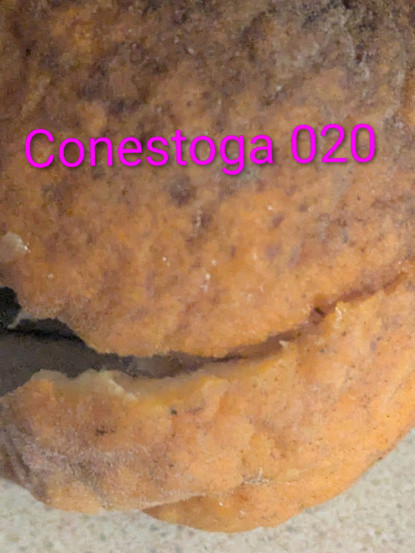 PXL 20251125 151148084 2