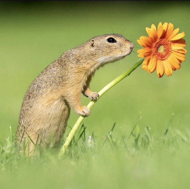 [Image: 67-D16-FE6-B84-F-40-B9-9793-7566038-EDC1-F.jpg]