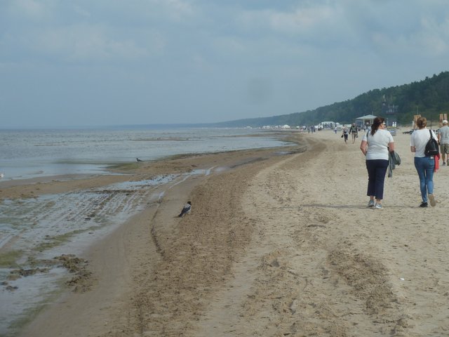 Dia 3 .-  Memorial de Salaspils y Jurmala - Riga en 3 dias. (6)