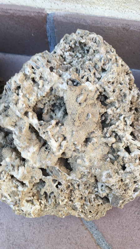 46D4F19D-31A1-4EAA-8E60-EB4D8FB15126