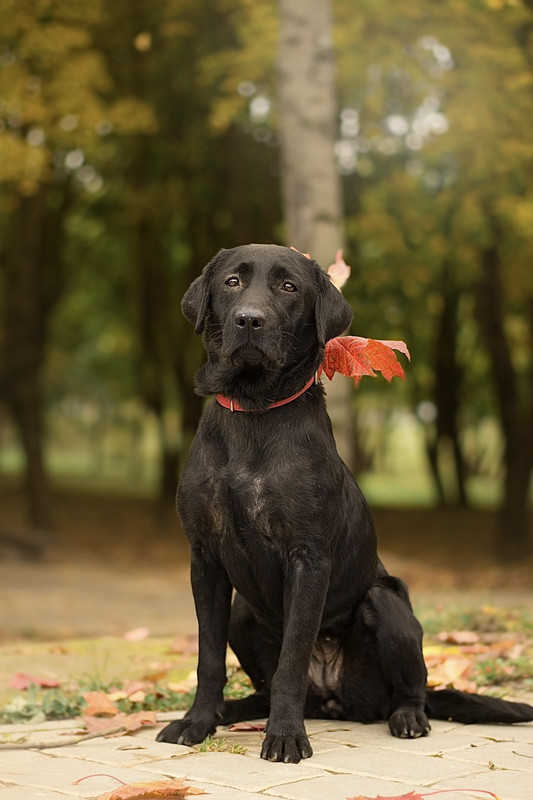 IMG-13b989e85e1a354d65af72c7b8fe9cd2-V