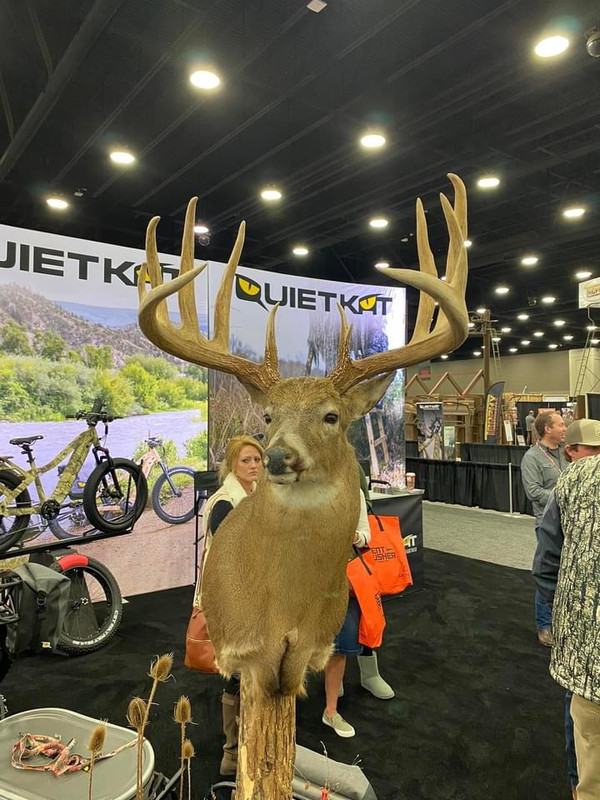 40433BFD-0D54-4BF9-9F8C-515D2F25F0C8