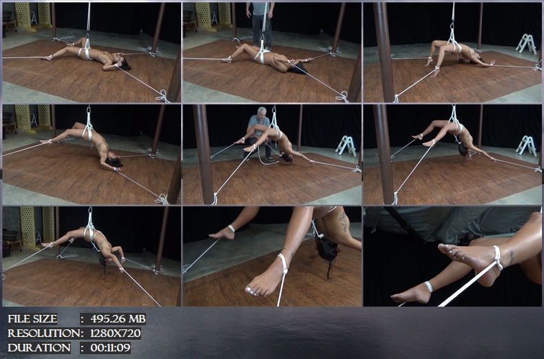 https://i.postimg.cc/zX51DjtJ/242-BDx-Drea-Backbreaker-BD-mp4.jpg