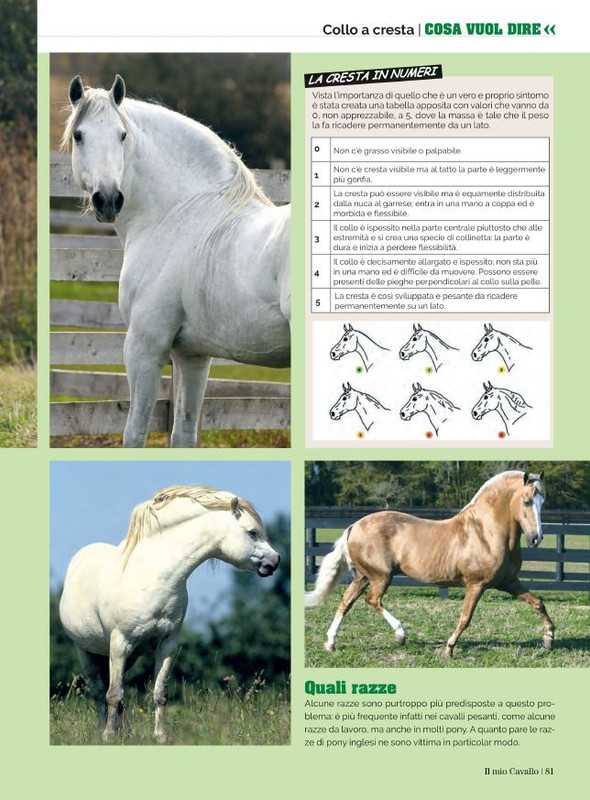 Il Mio Cav (Giu 2022) 12