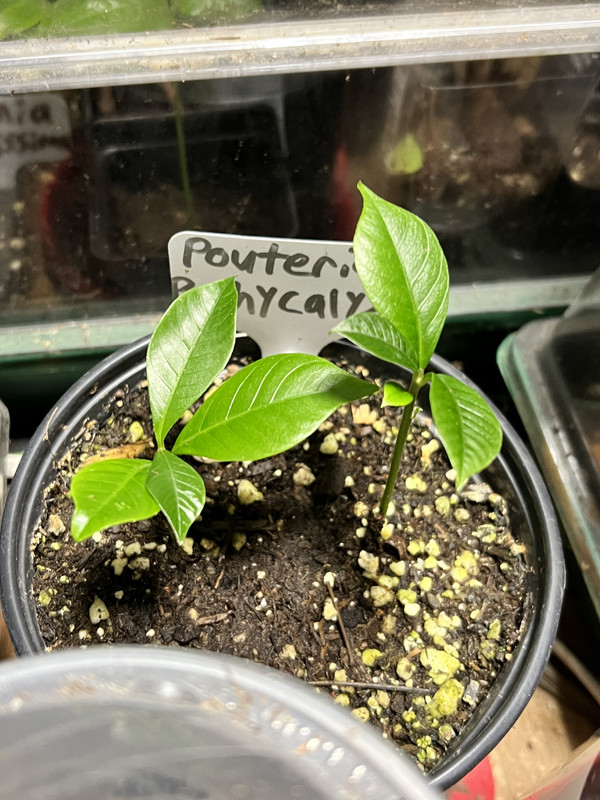 20D22AC5-D4CF-4F1C-859C-12727F4780D3