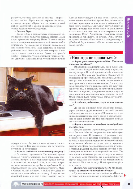 Moj-drug-koshka-2012-03-13