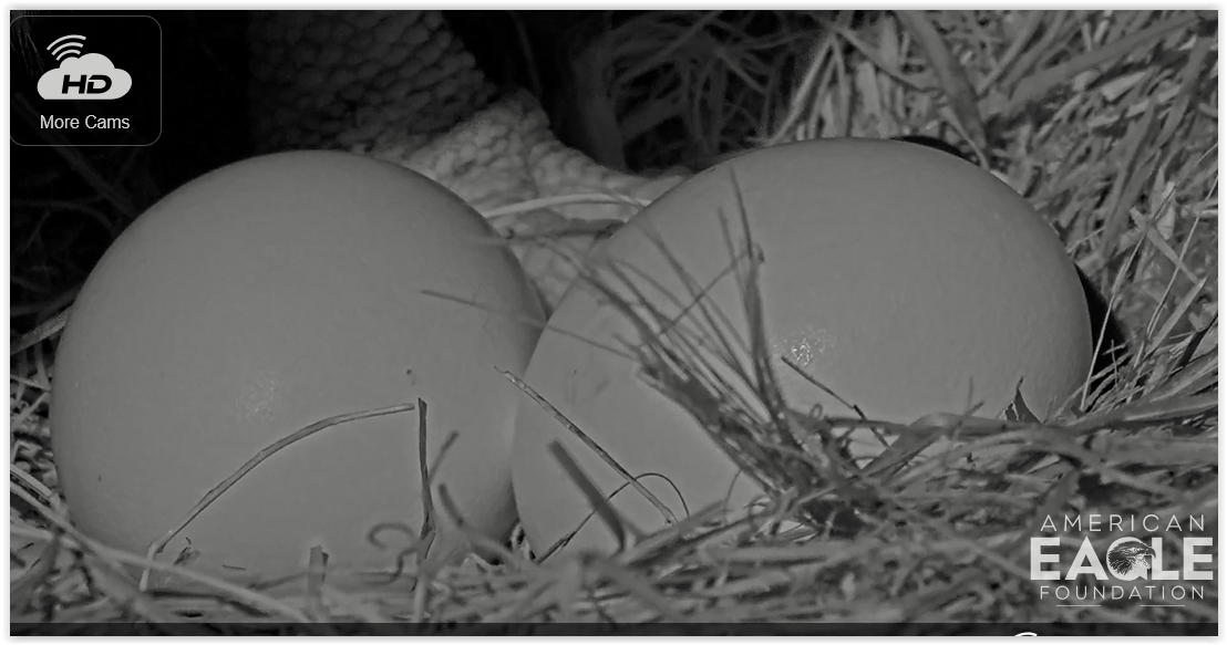 Screen Shot 01-17-25 at 08.03 AM 001