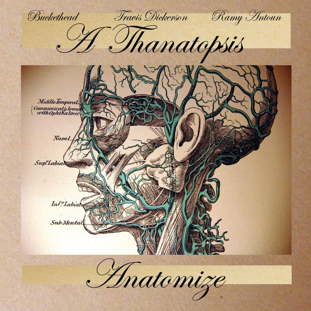 a-thanatopsis-anatomize-buckethead.jpg