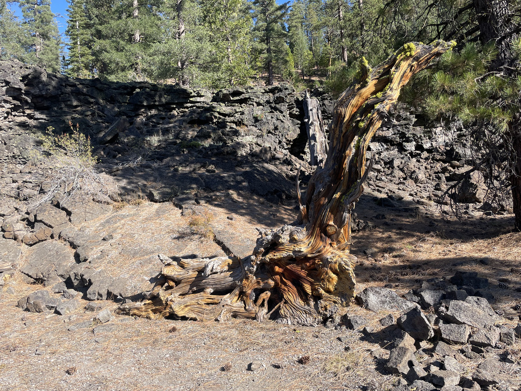 8E27FC1D-8413-48DA-A25F-0346D7EAA766