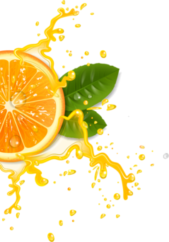 food citrus orange-png Free Transparent PNG image in precap