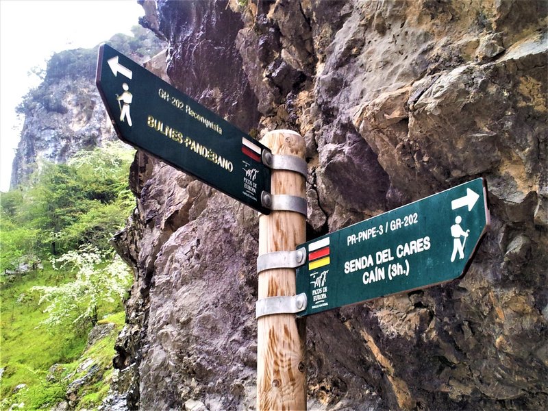 PICOS DE EUROPA-16-5-2013-LEON/ASTURIAS/CANTABRIA - Paseando por España-1991/2016 (64)