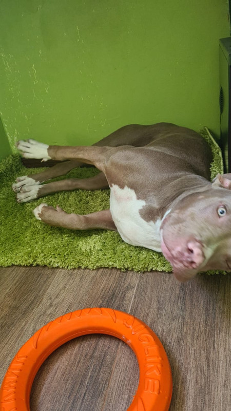 1511DBC1-34F6-4F41-A6E8-CF7E1D3B014F