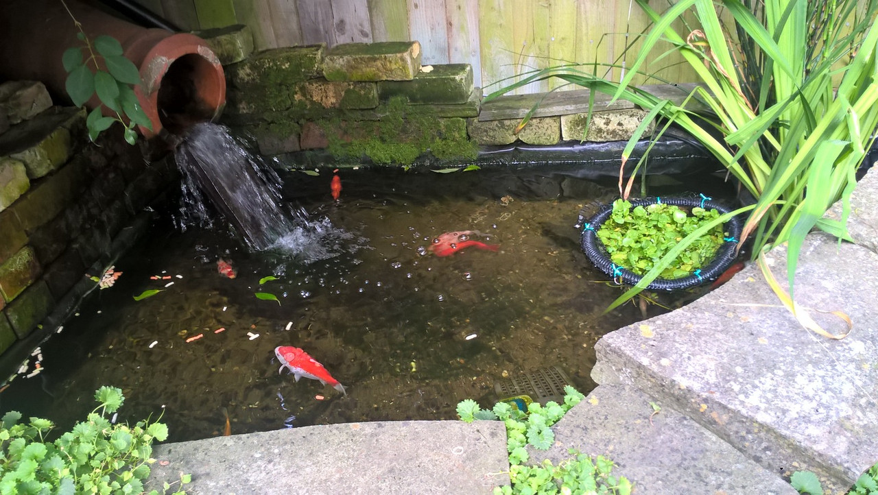 WP_20170718_08_55_25_Pro