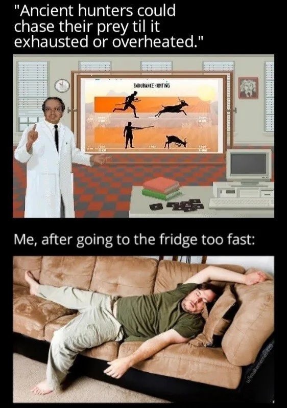 64aca9af99d3b.jpg