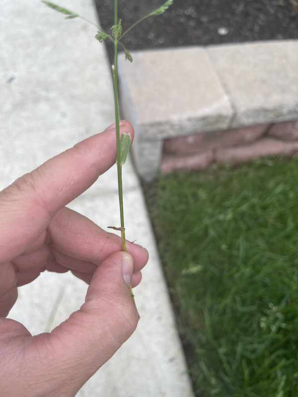 C3B2E00C-AA6E-46A6-843A-FFF1B64B2D7C