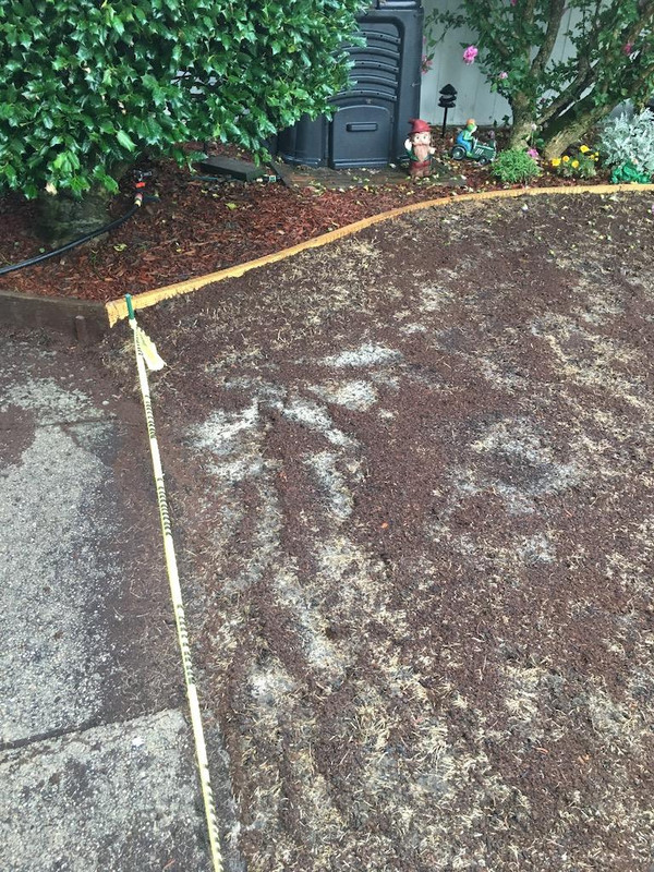 2017_Backyard_Reno_Day_3_Washout_3_small