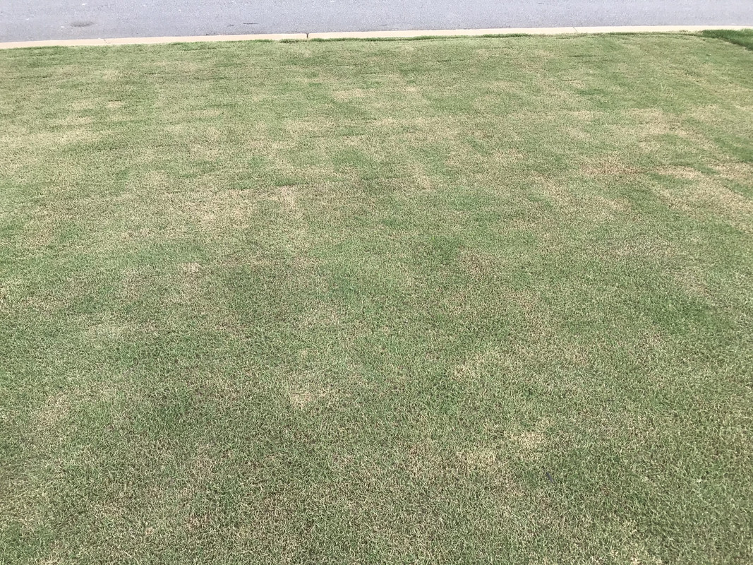 A8E7DAE9-A9A8-456C-B37B-84A79481E248