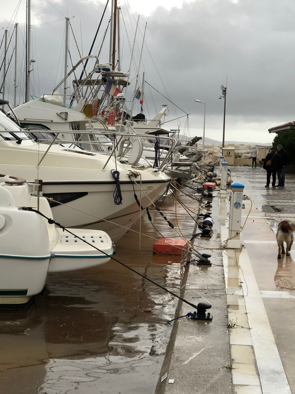 85FF99E0-3C5C-4B18-8073-97F1C2A17C24