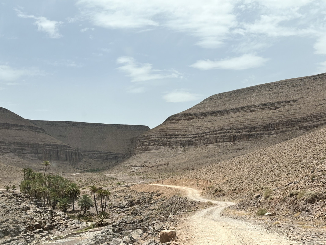 Los Oasis de Fint y de Tiguirt - El Valle del Drâa, la gran arteria del sur de Marruecos (14)