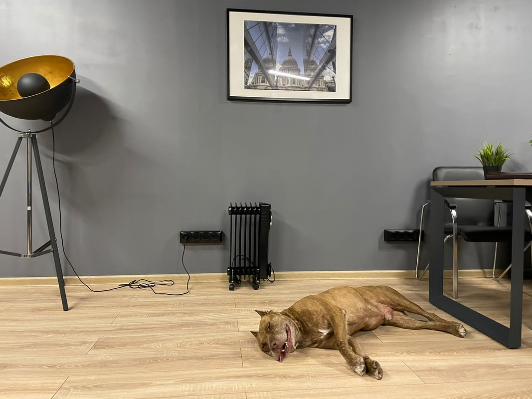 467BFF2B-9CF4-409B-9FA6-337AAFA50F13