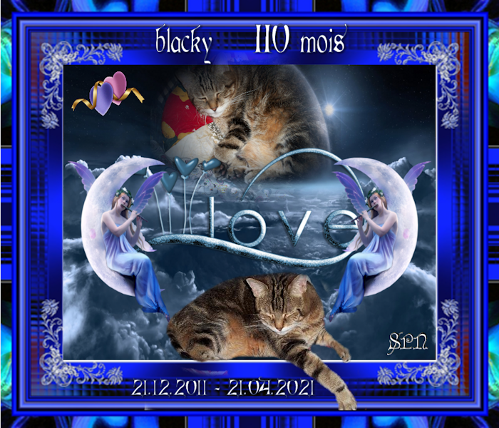 BLACKY-110-MOIS