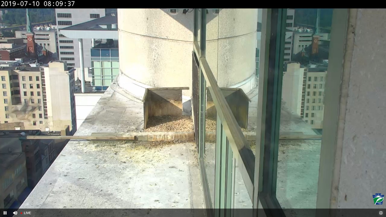 capture_10072019_141129