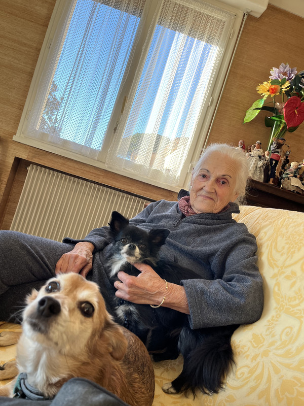 [Image: IMG-2343.jpg]