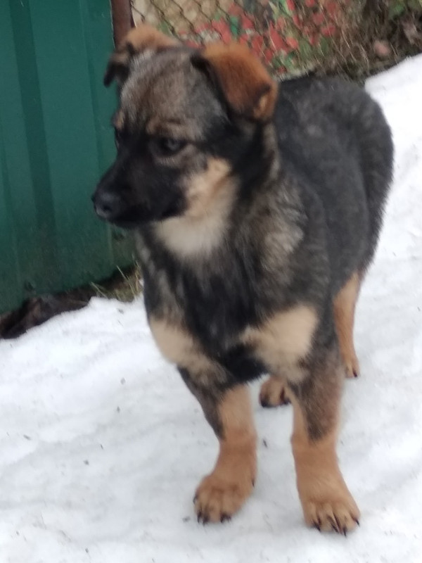 осталась одна