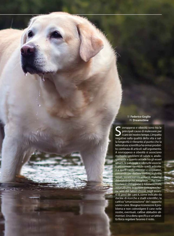 Il M C Set-Ott 2024 (2)