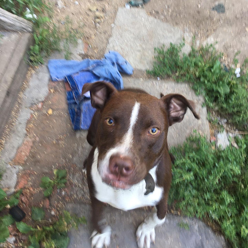 6AF31028-12F0-4CF9-854A-A77F02E9C648