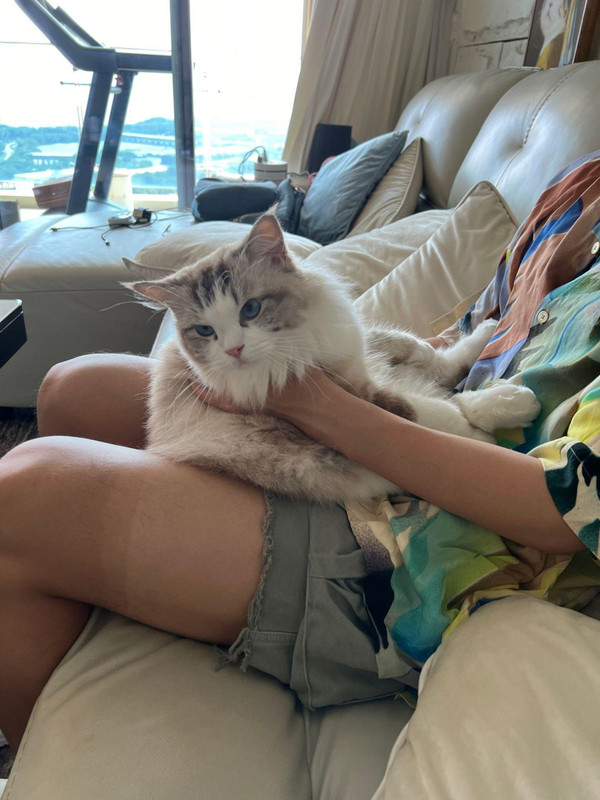 oMJGeAGKe1ABXL7fOEurrAGBAEmVE3XIAAu6Ir~tplv-dy-aweme-images-v2_3000_3000_q75