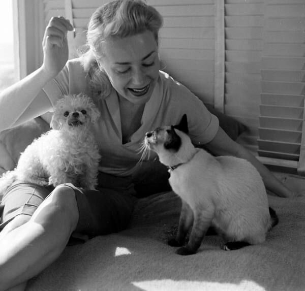 129a259cdc65c9dcea426818b6622712