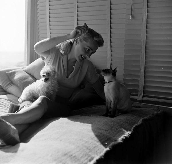 tumblr-l0278p-TAr-O1qaxihzo1-1280