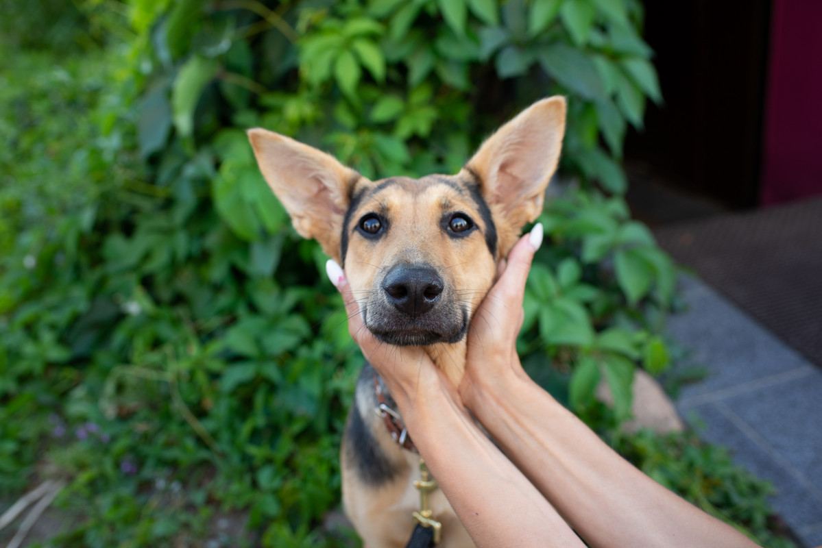 35878397-68E1-4473-80A1-AE5E8343E044