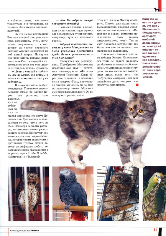 Друг кошек 2007-07-11